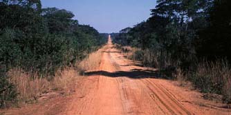 Sdafrika, Zambia: Zambias wilder Westen - Typische Piste auf dem Landweg